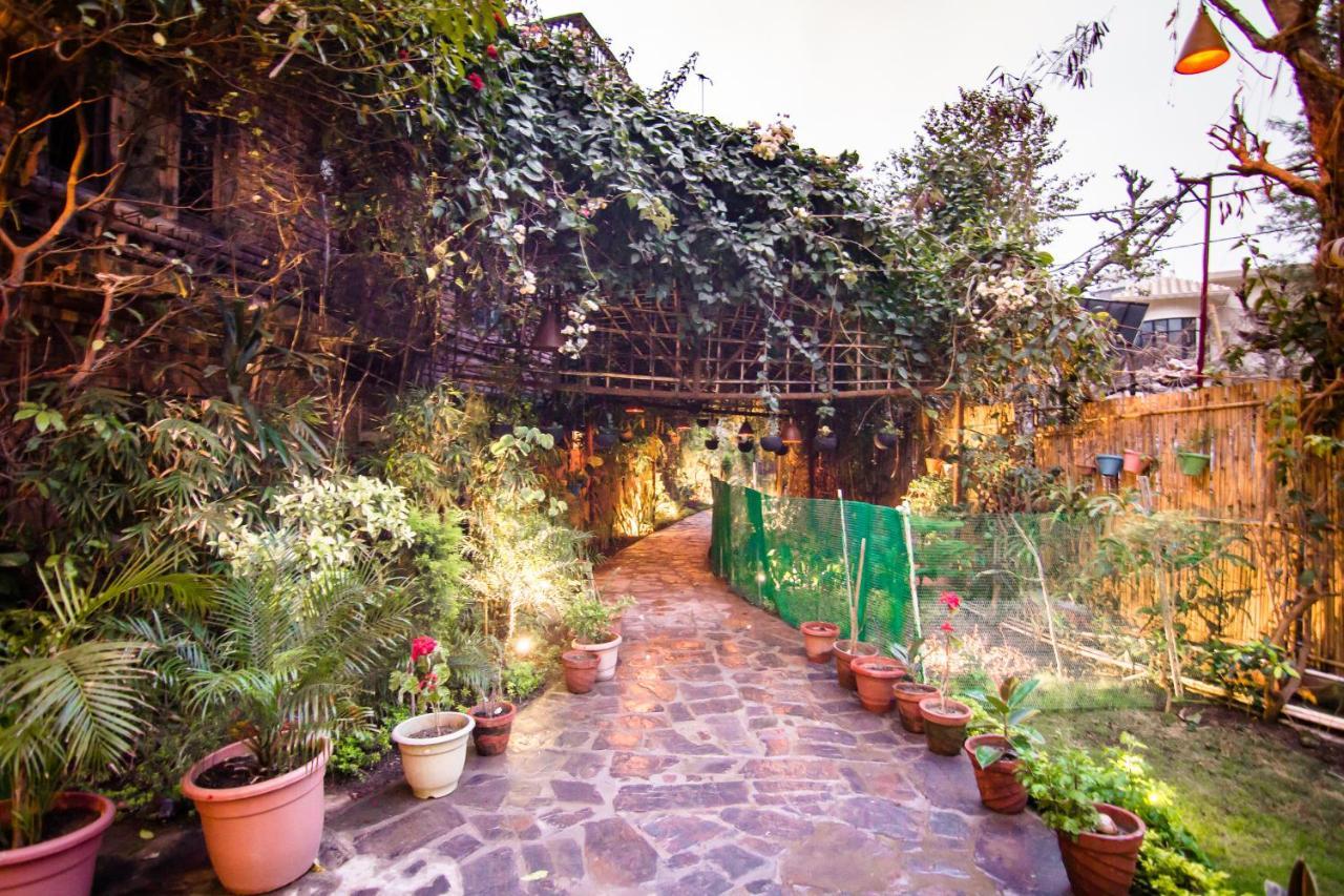 Divine Ganga Cottage Ришикеш Экстерьер фото